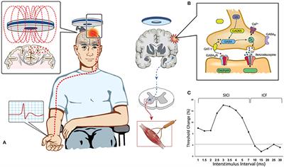Functional Biomarkers for Amyotrophic Lateral Sclerosis